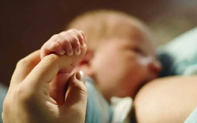 Amamantar como alimento integral