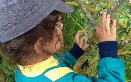 Creatividad, expresión artística y ética en la educación para la primera infancia