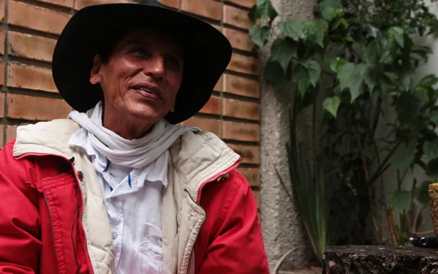 En Casanare los niños le cantan a un torito cimarrón