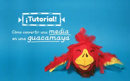 Tutorial – ¿Cómo convertir una media en una guacamaya?